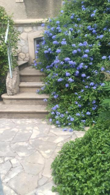 Chez Catherine Arles Exterior foto