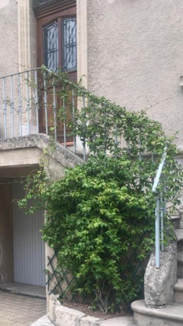 Chez Catherine Arles Exterior foto